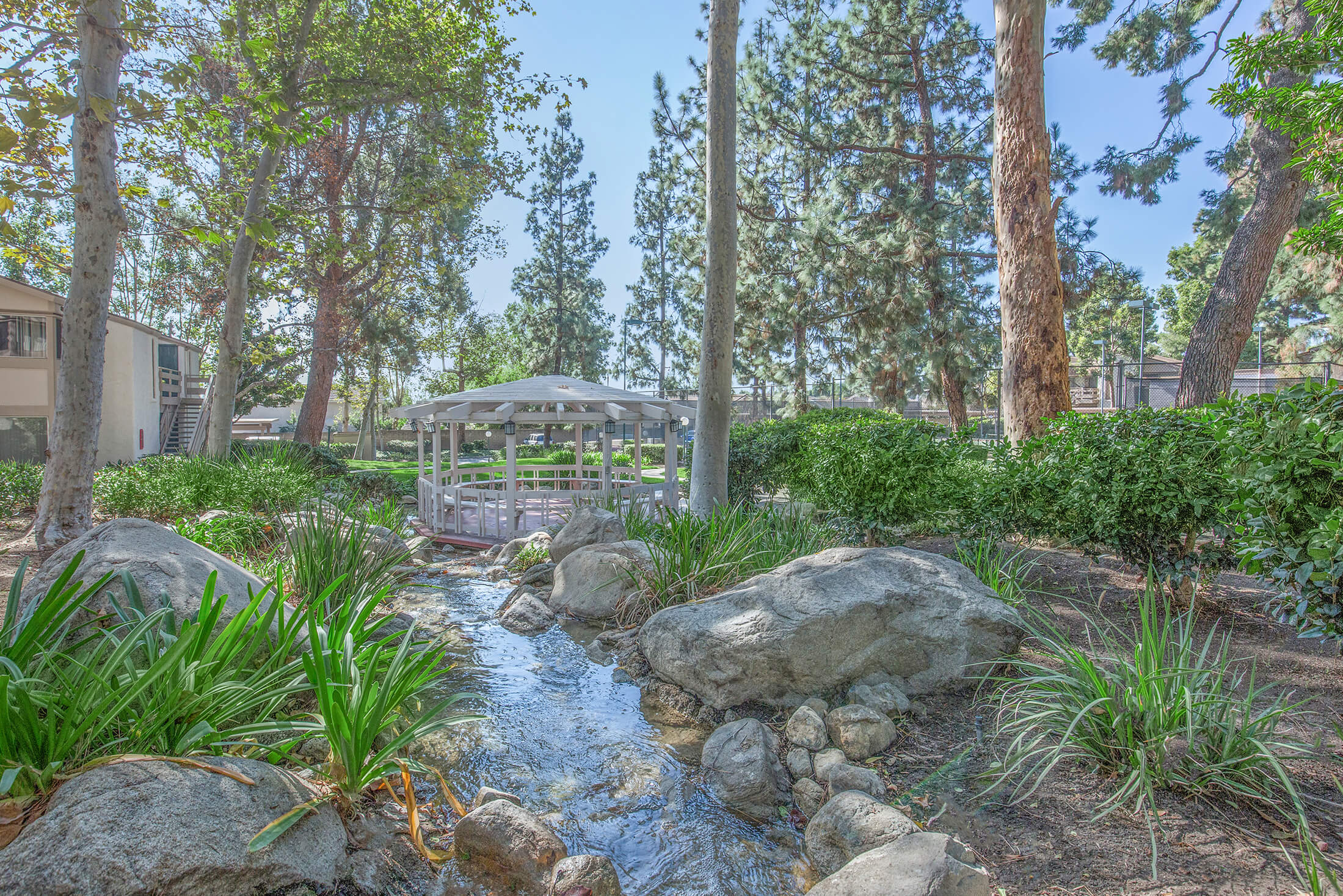slideshow image 5